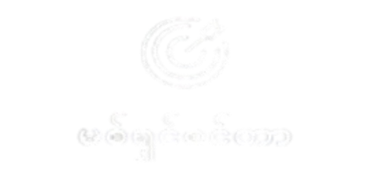 shwe666